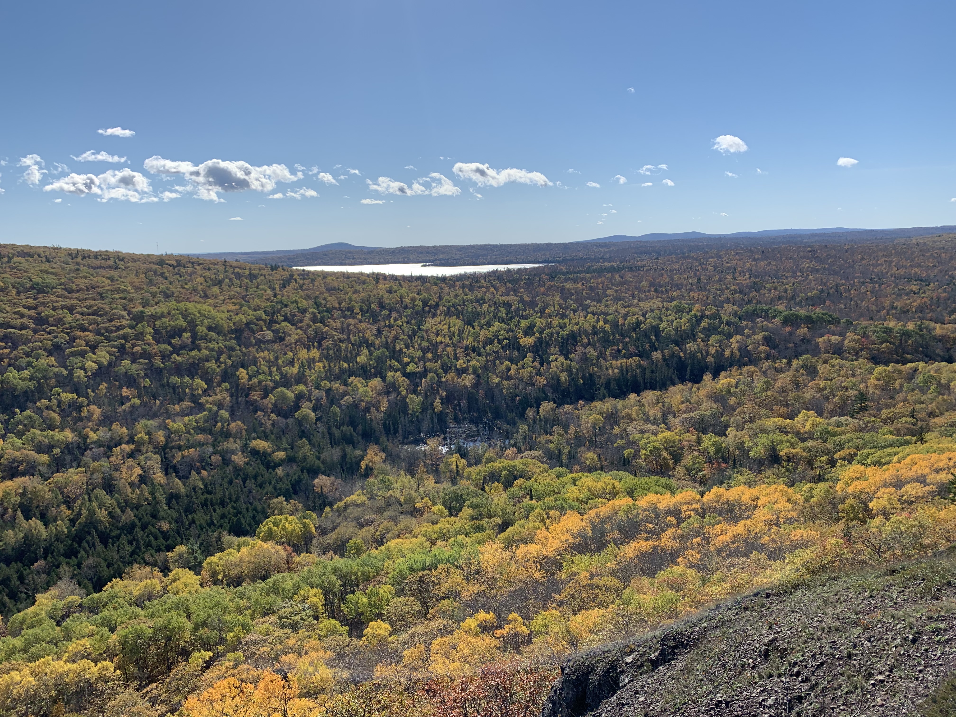 Autumn forest canopy across a rolling landscape, with a lake in the distance